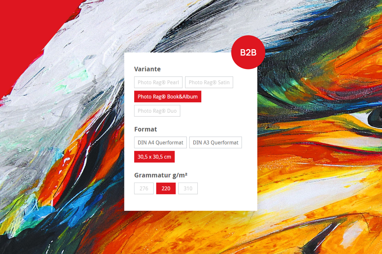 B2B-Produktvarianten vor farbigem Kunstmotiv mit Auswahl für Variante, Format und Grammatur